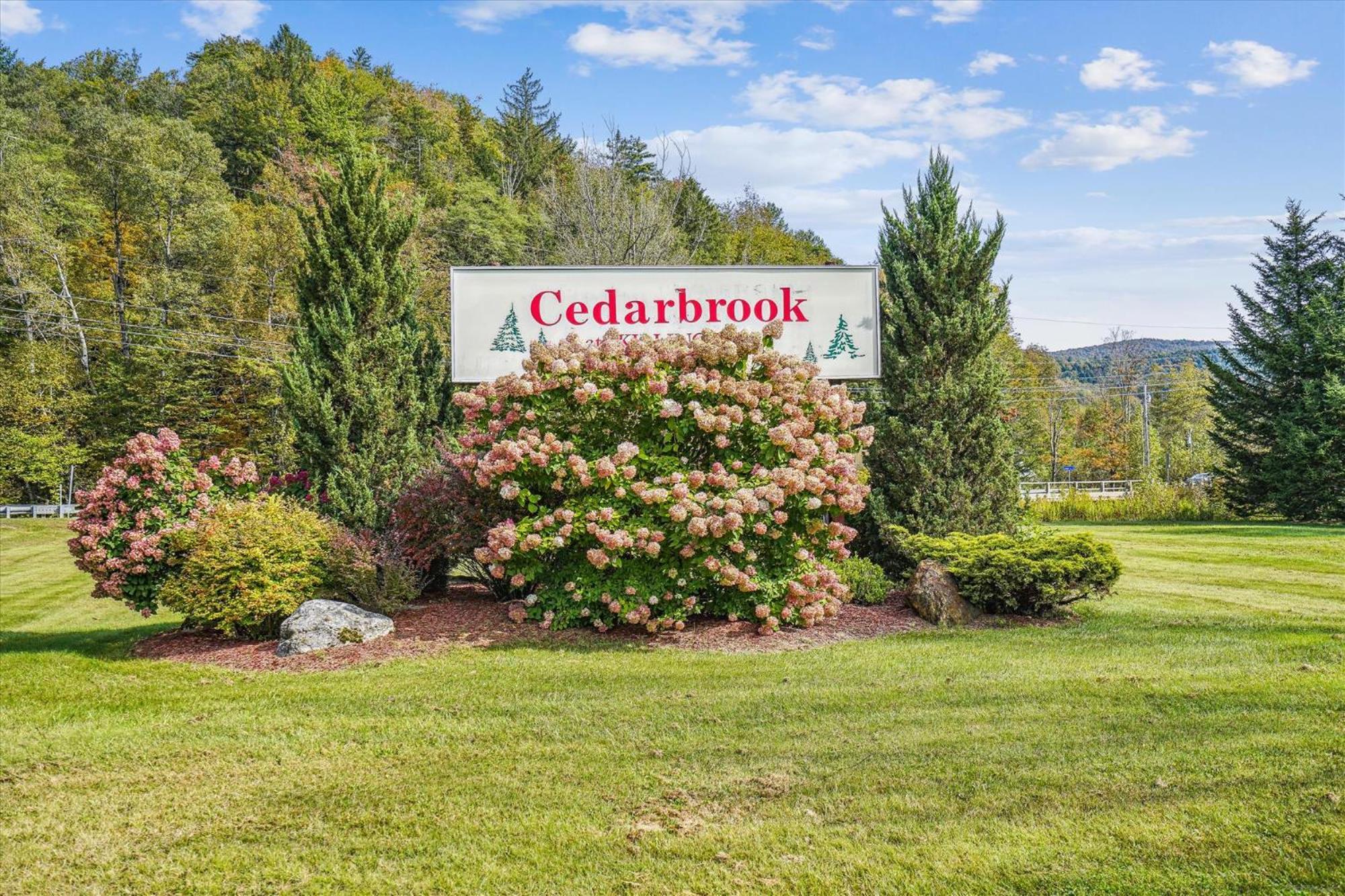 Cedarbrook Queen Suite 203 基灵顿 外观 照片
